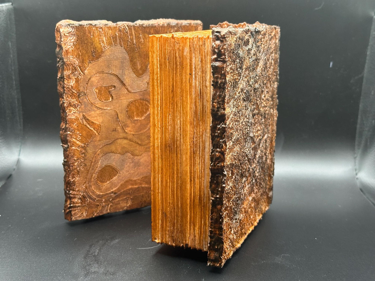 Evil Dead Necronomicon Dice Case with Resin Dice Set