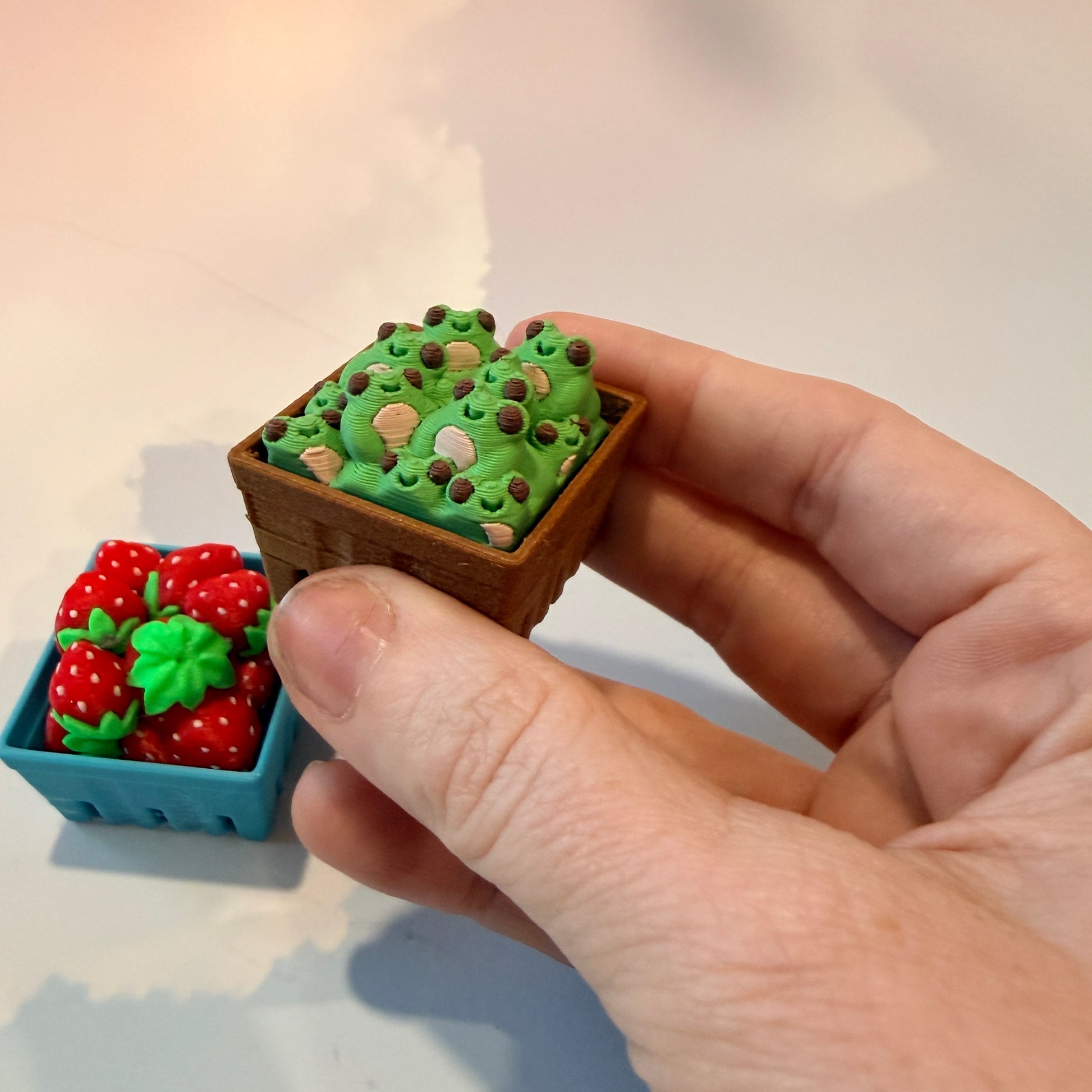 Farmers market themed fidget clicker featuring strawberries and frogs.
