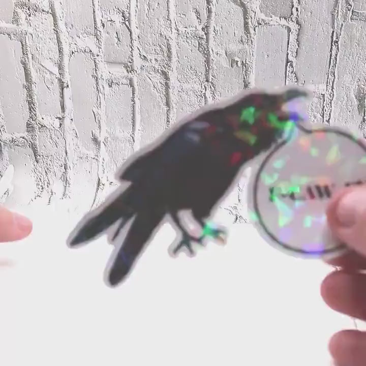 Raven Pun Sticker Sheet | Gothic Horror Raven Stickers